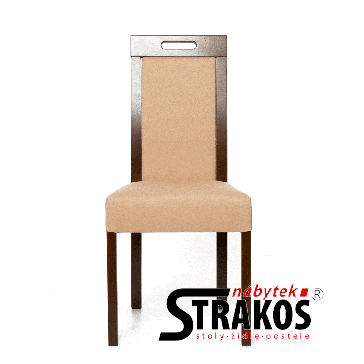 Jídelní židle STRAKOŠ R V