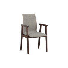 Židle s područkami STRAKOŠ F II