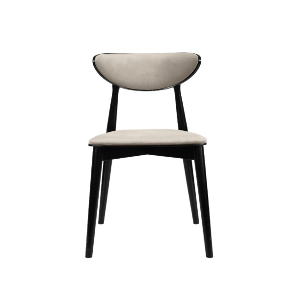 Jídelní židle STRAKOŠ DM65/NT