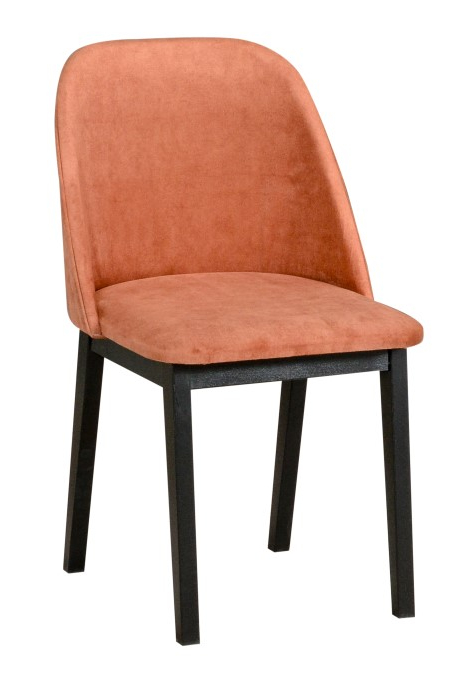 Jídelní židle STRAKOŠ MT I